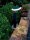 Pollerleuchte - Bermuda 600 mm, DIM, 3000 K, Schwarz