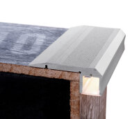 Profil - Treppenstufen-Profil AL-02-10, 1m, Silber